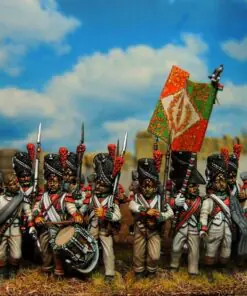 Napoleon's French Old Guard Grenadiers - Image 6