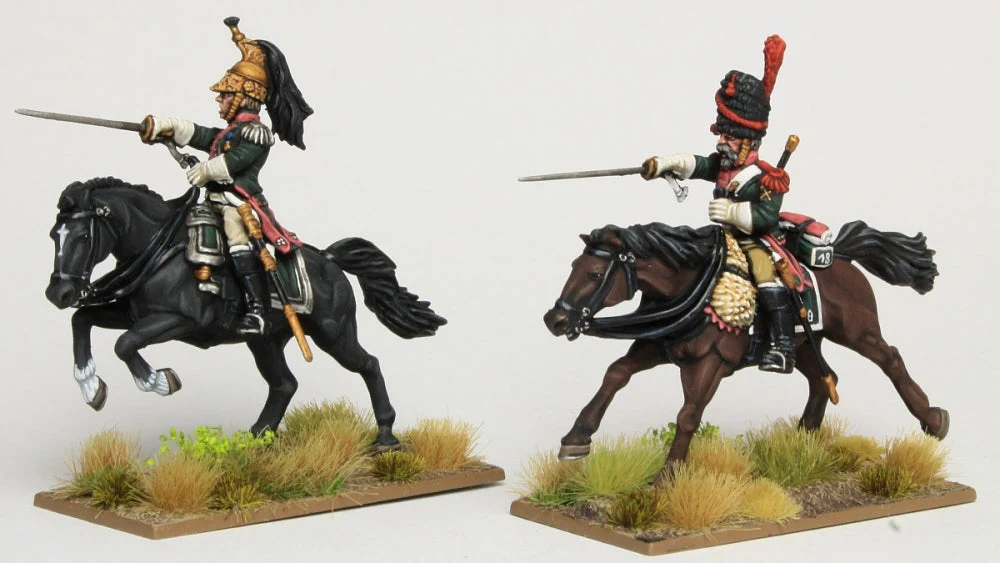 French Napoleonic Dragoons - Image 20