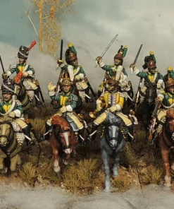 French Napoleonic Dragoons - Image 21