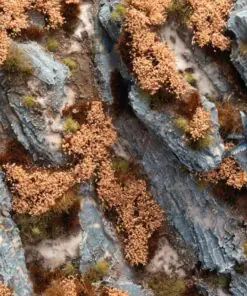 Alternative view of GGFS-AUT Autumn Shrubs