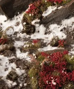 Alternative view of GGFS-LAL Laliguras Flowers