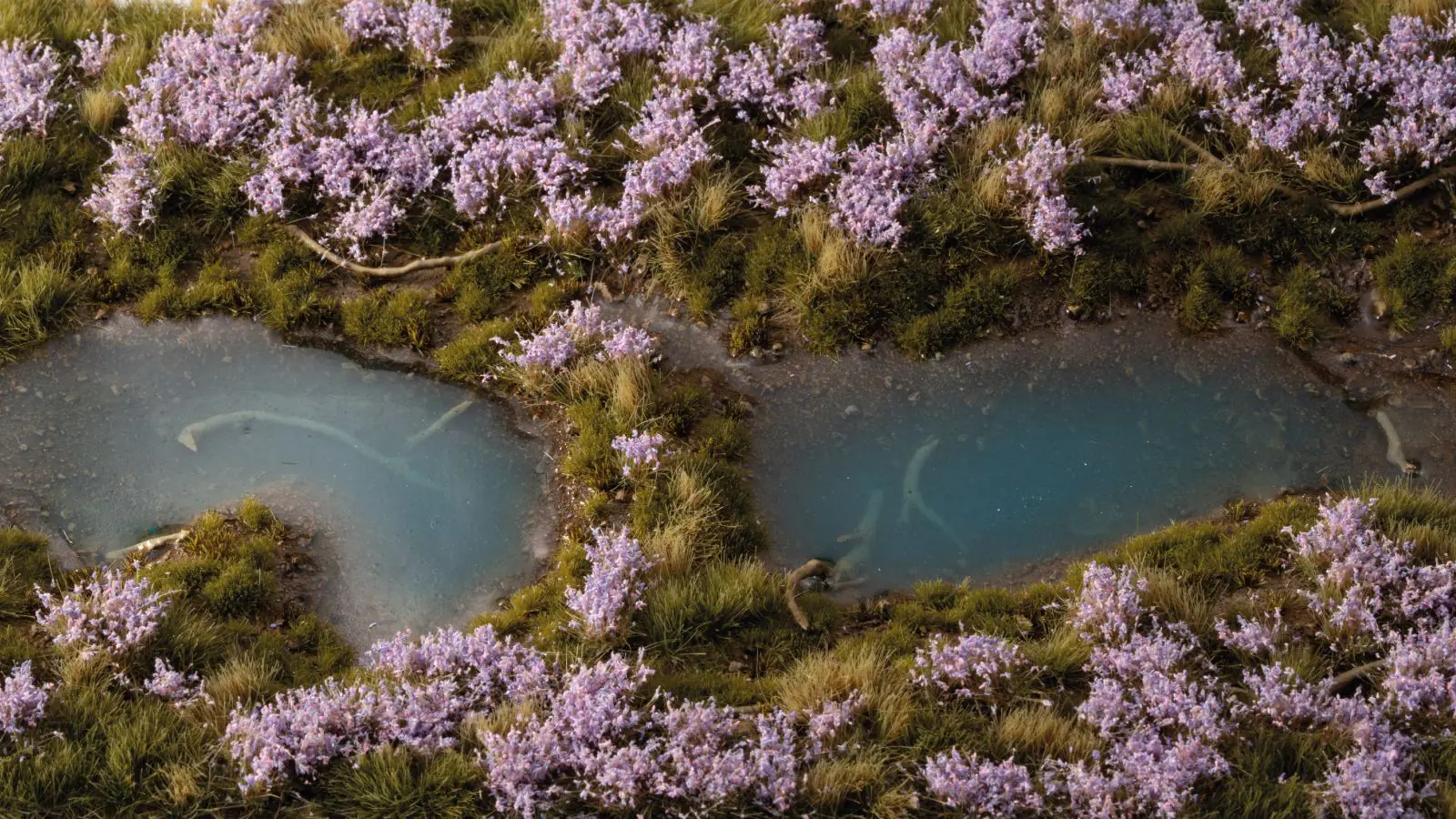 GGFS-LAV Lavender Flowers - Image 2