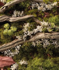 Alternative view of GGFS-WR White Rose Flowers