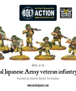 Imperial Japanese Army veteran infantry squad