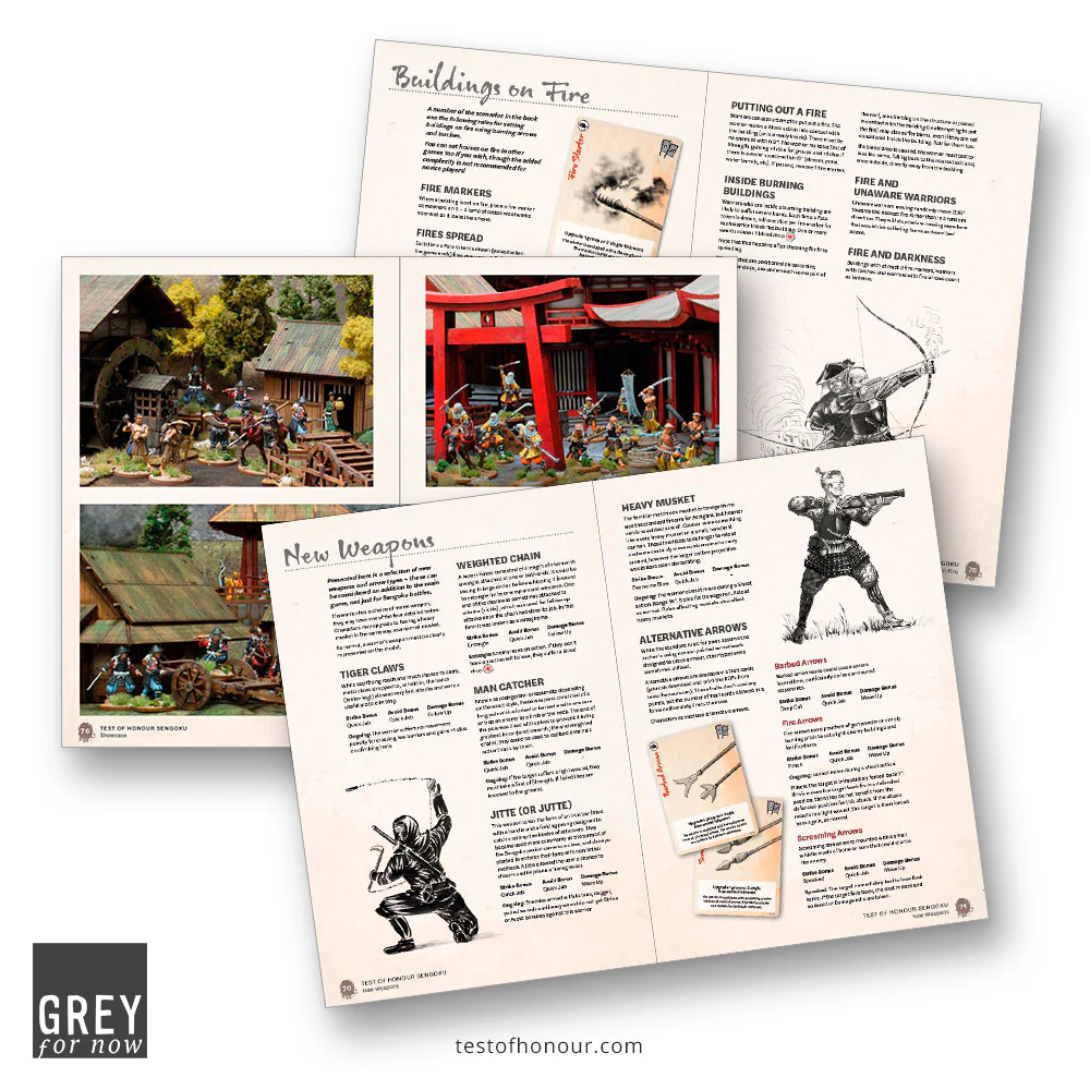 Test of Honour Sengoku expanded rules - Image 4
