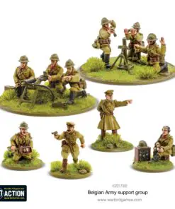 Alternative view of Belgian Army support group