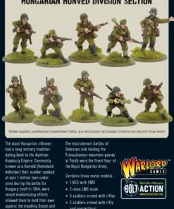 Alternative view of Hungarian Army Honved Division section