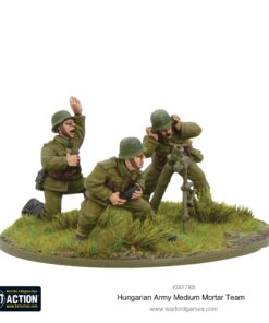 Alternative view of Hungarian Army support group