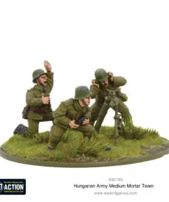Alternative view of Hungarian Army support group