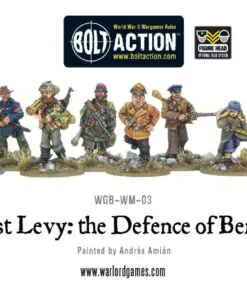 Alternative view of Last Levy, the Defence of Berlin