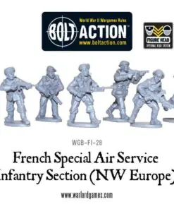 French SAS (NWE) sections