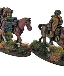 Alternative view of HUN217 - Hungarian Huszár Pack Horses