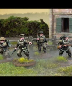 Alternative view of WAAWA007 British Expeditionary Force