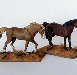 DMH - Unbridled Horses