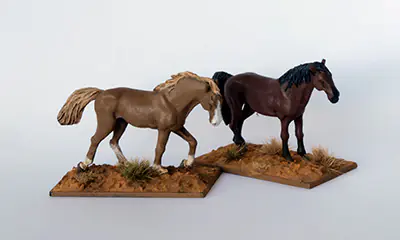 DMH - Unbridled Horses