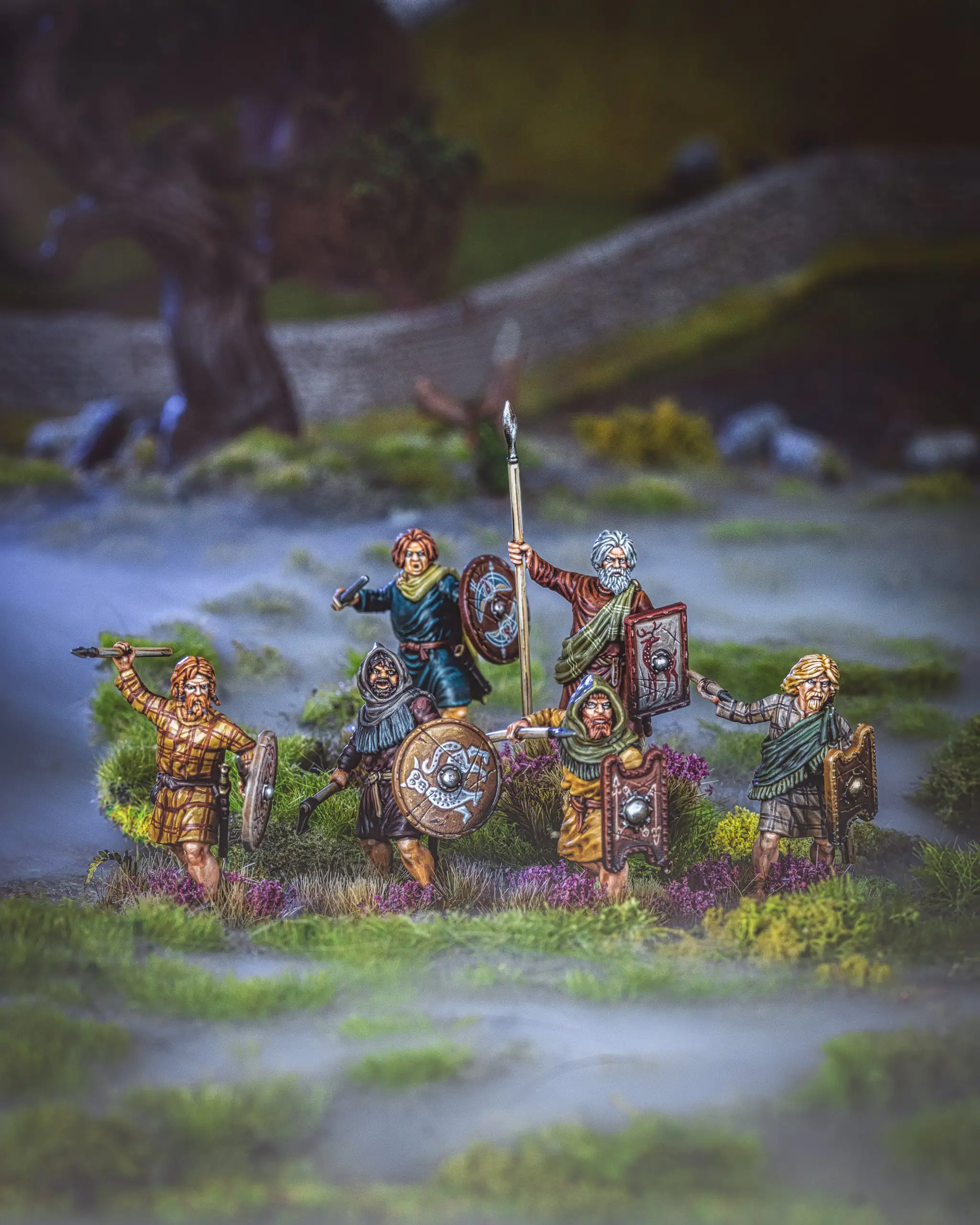 Scots/Picts Warriors - Image 3
