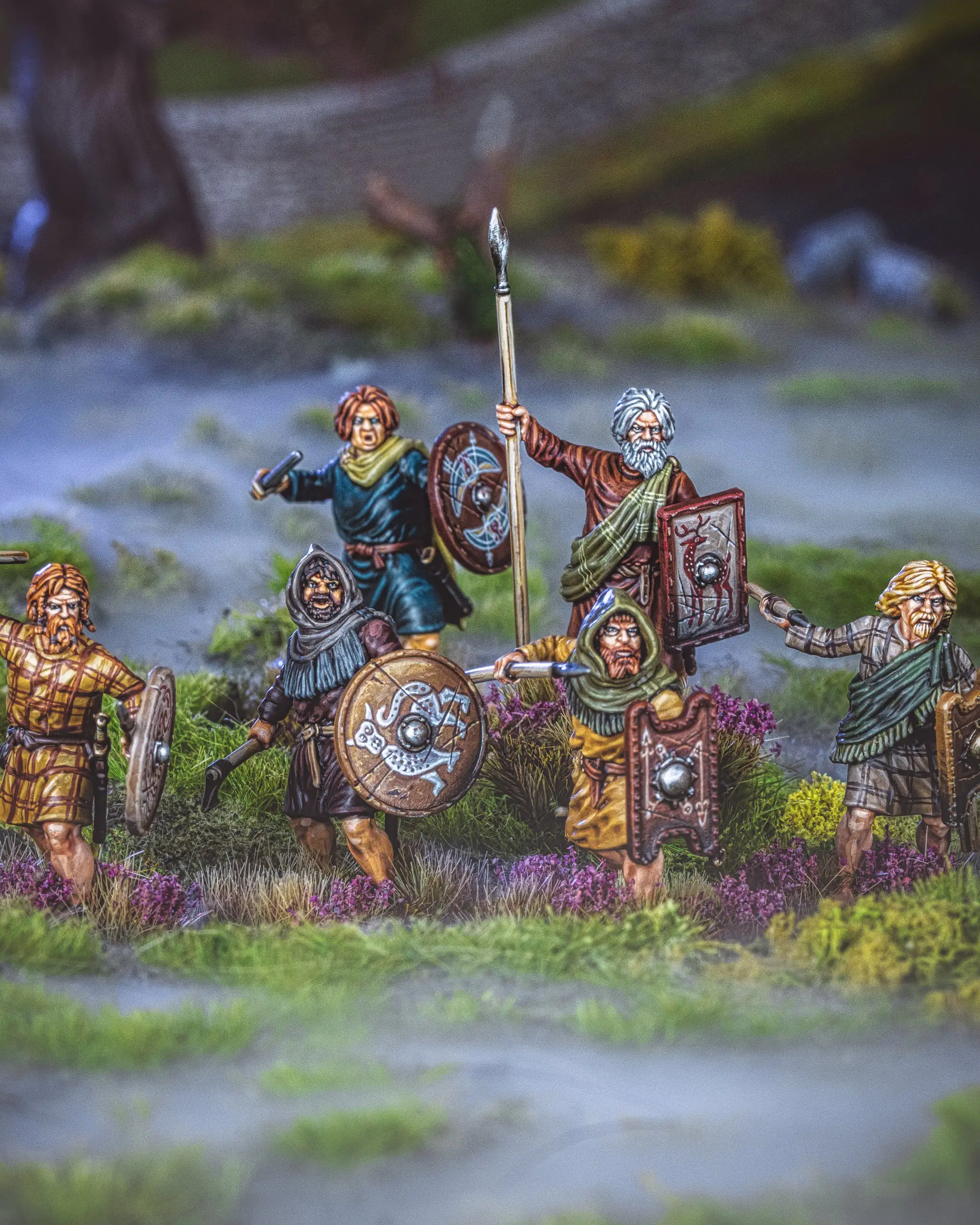 Scots/Picts Warriors - Image 5
