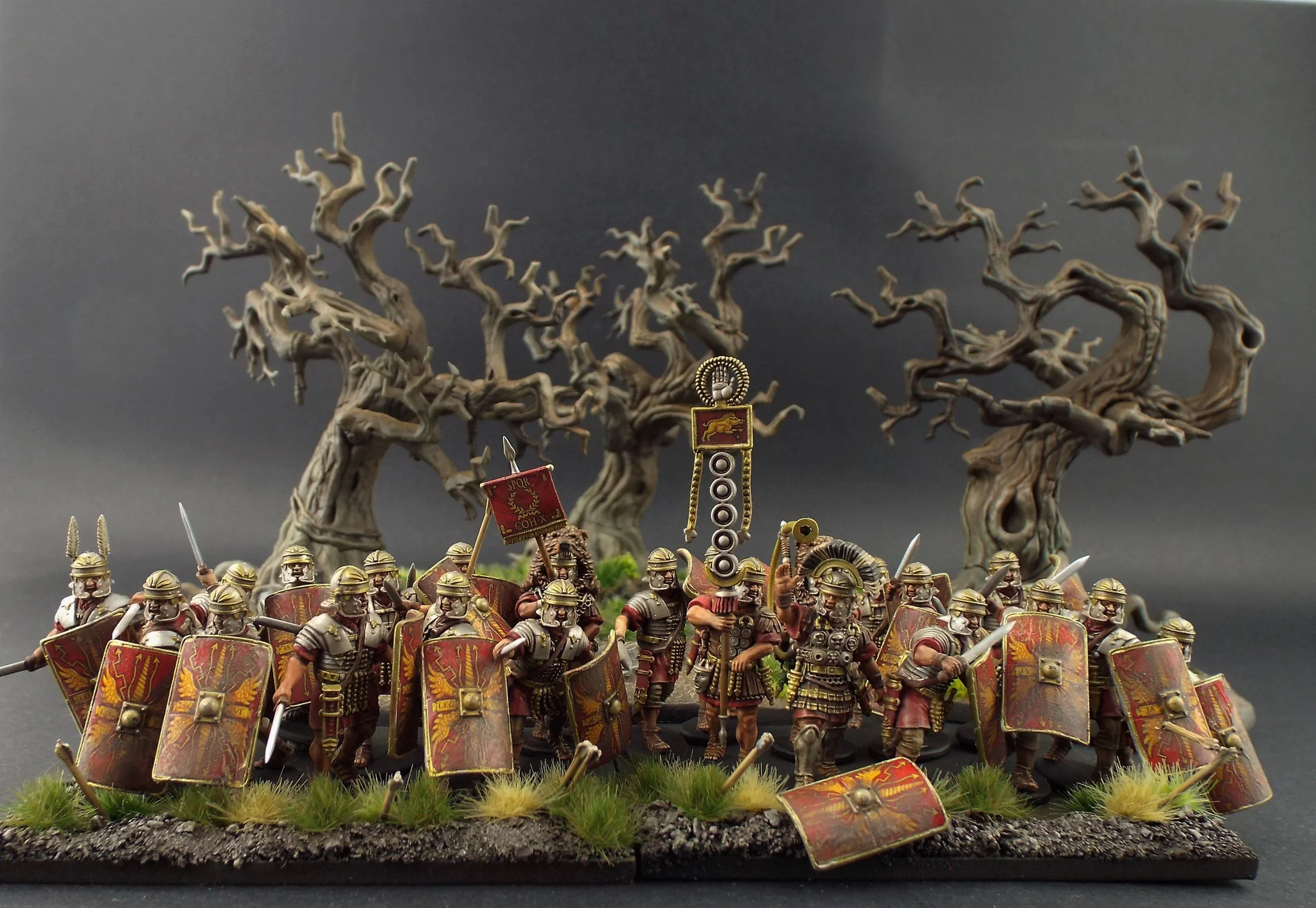 Imperial Rome Warband - Image 2