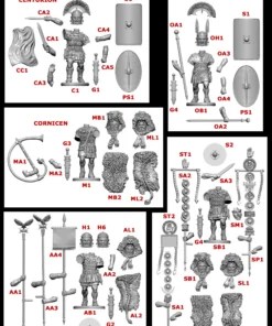 Imperial Rome Warband - Image 11
