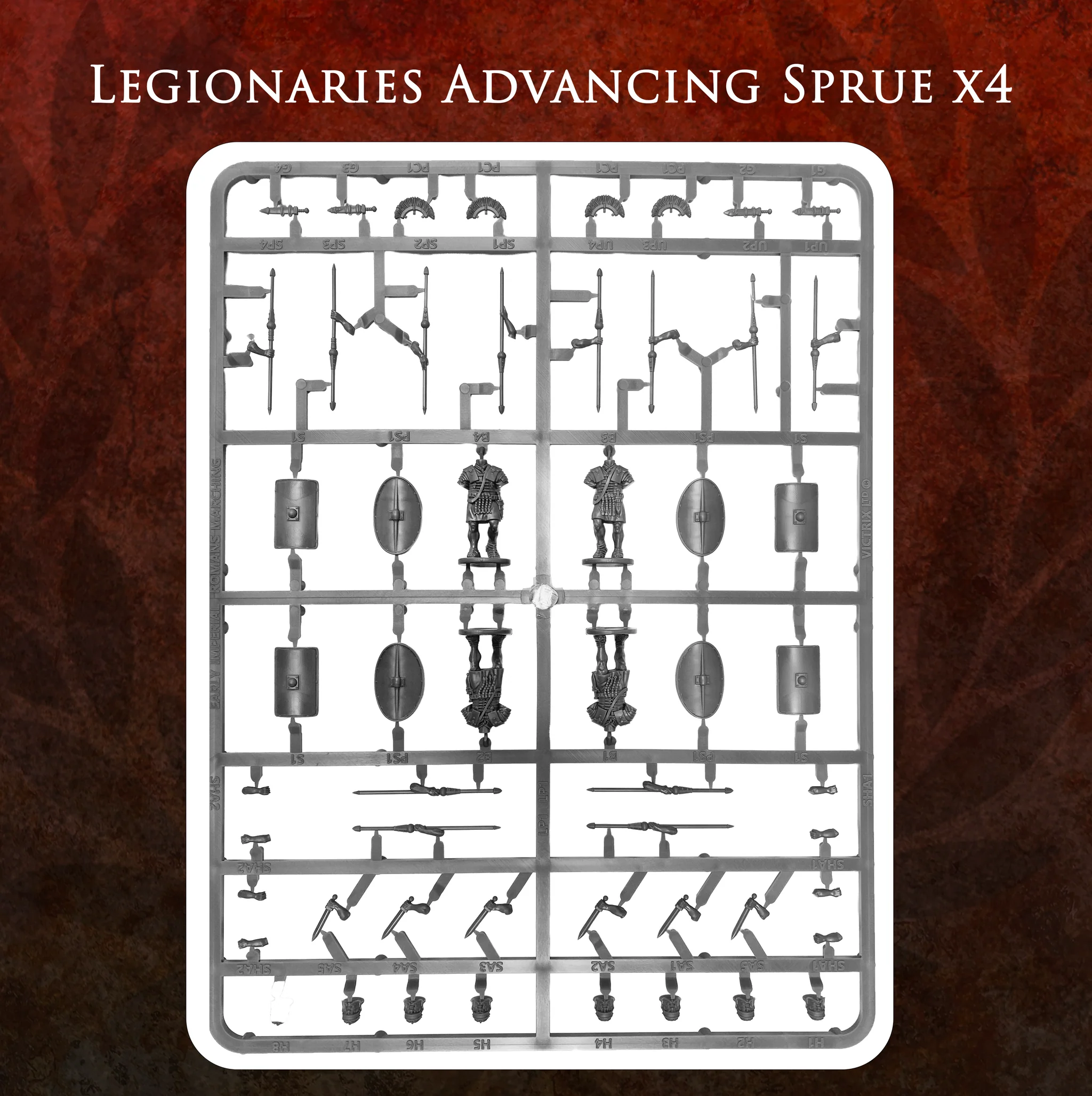 Imperial Rome Warband - Image 7