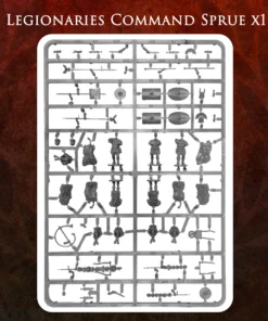Imperial Rome Warband - Image 9