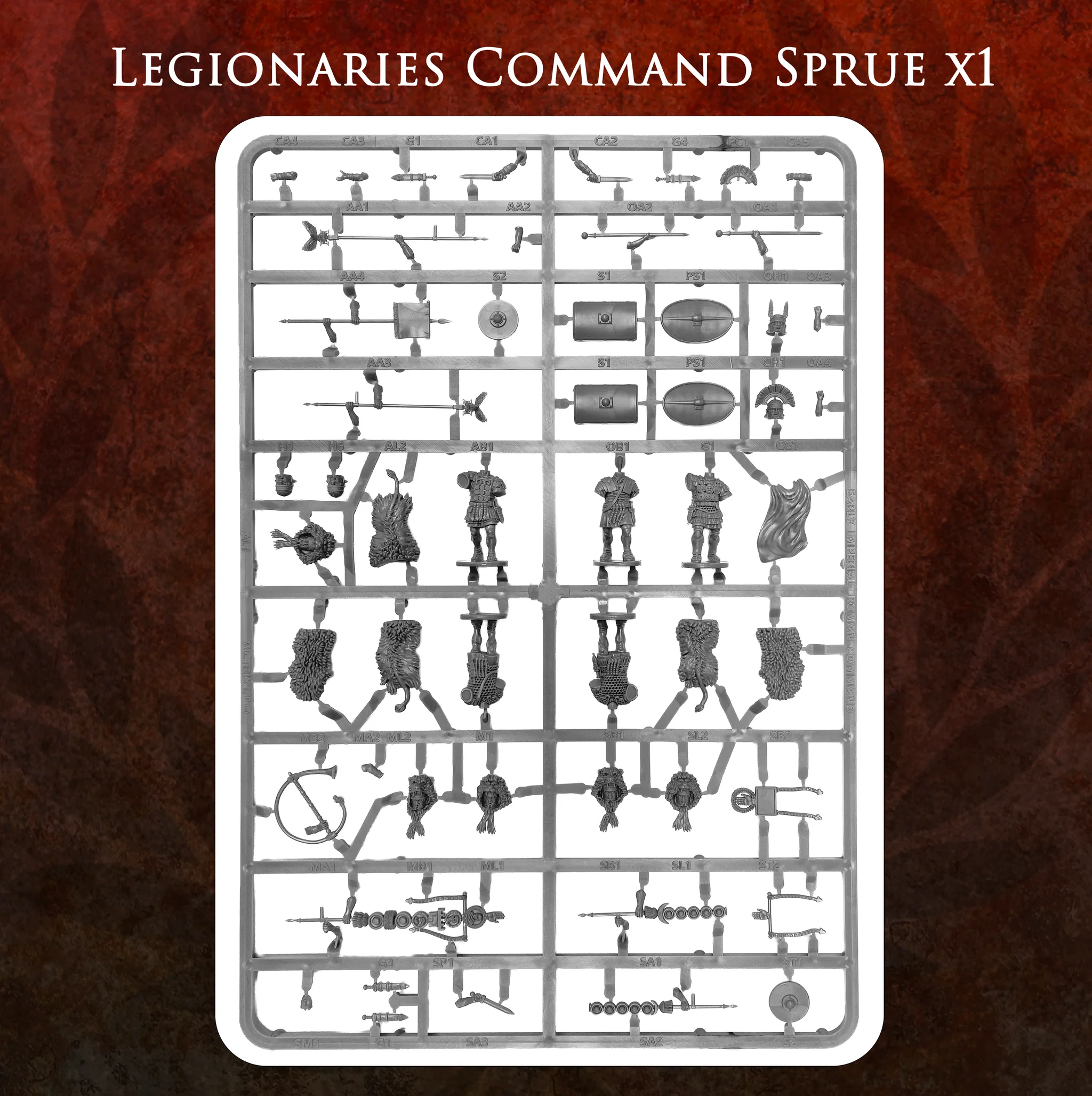 Imperial Rome Warband - Image 9