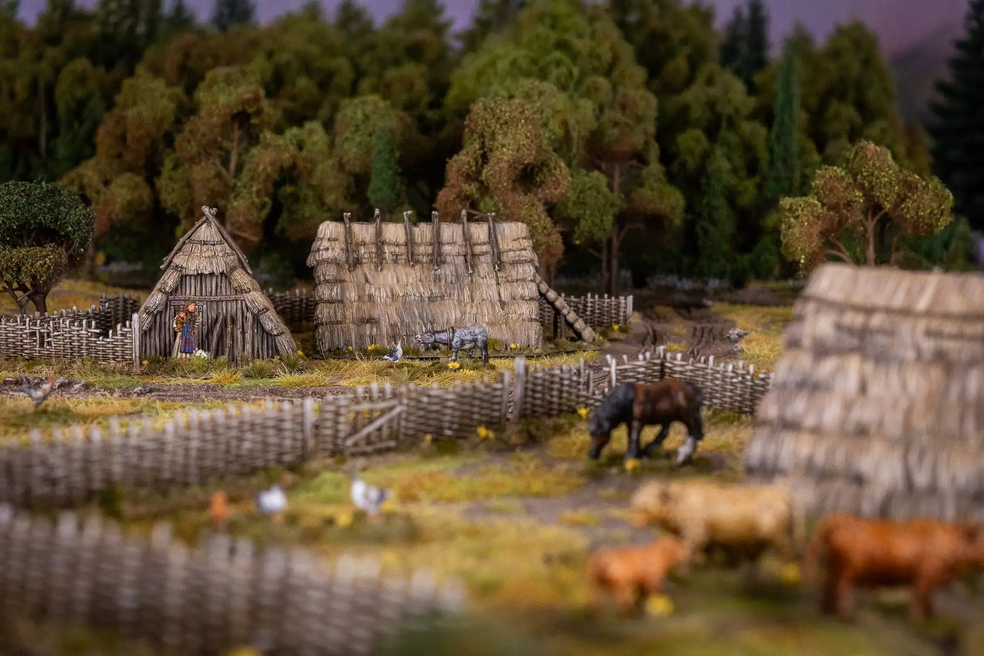 Pillage Dark Age Huts - Image 5