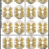 Caesarian Roman shield designs 3