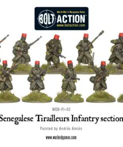 Senegalese Tirailleurs Infantry section