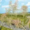 Heki 1370 35 trees, sea moss natural