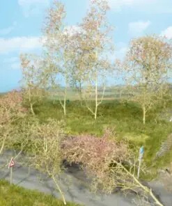 Heki 1370 35 trees, sea moss natural